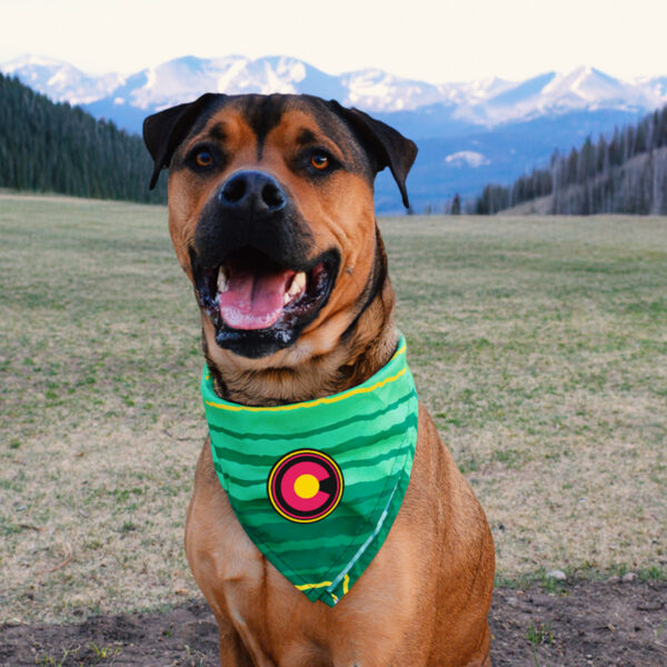 Colorado Sarape Bandana
