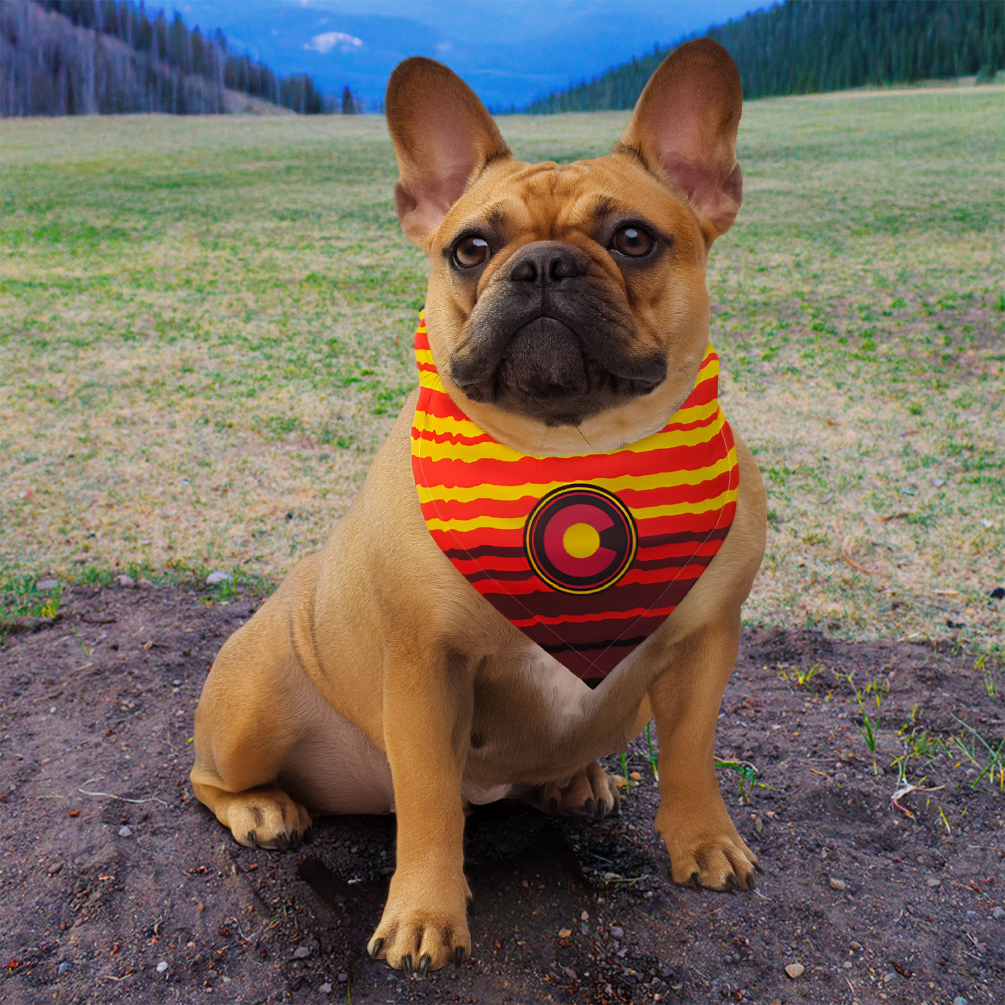 Colorado Sarape Bandana - Image 2