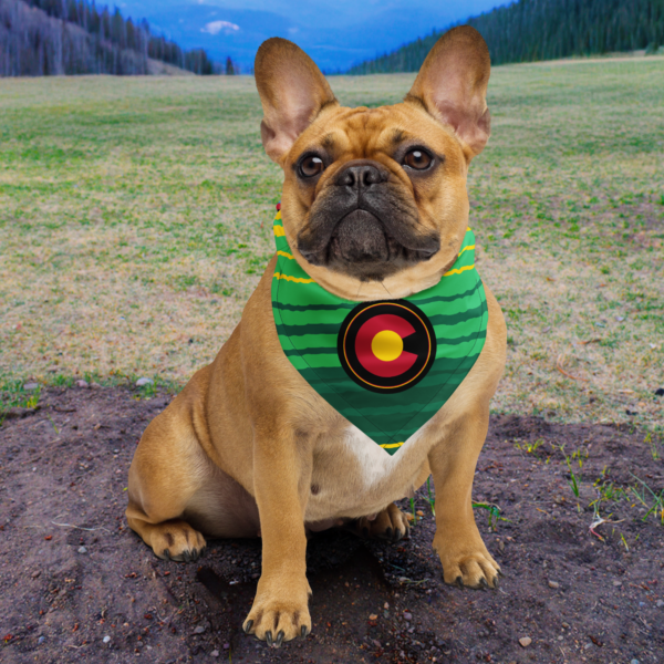 Colorado Sarape Bandana